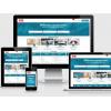 Pack7: Theme Fino +SEO PRO+ Ultimates Payment Plugins+Maps